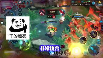 王者龙年爆料最新视频,揭秘最新爆料视频中的精彩亮点