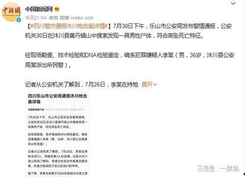 四川枪击案爆料最新进展,案情升级，警方全力追捕嫌疑人