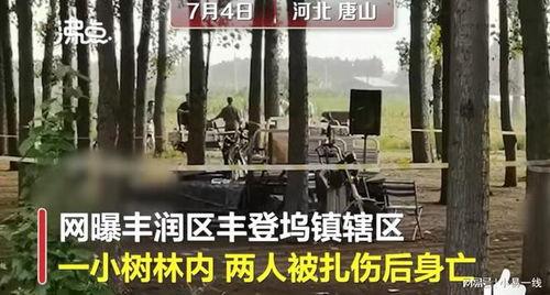 最新唐山爆料案件视频