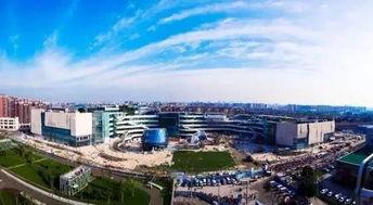 成都爆料武胜新闻最新消息