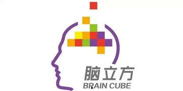 烟台爆料最新新闻联播,新闻联播聚焦城市新发展与民生改善