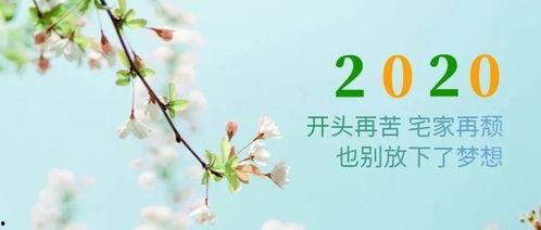 关于花季节最新爆料的文案,揭秘最新花季节秘闻大揭秘